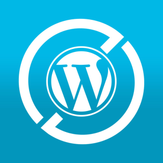 WordPress Wartungspaket L