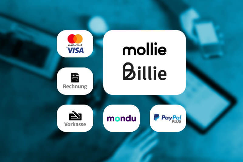 Zahlungsarten-B2B-Geschäftskunden-Online-Shop-Wawi
